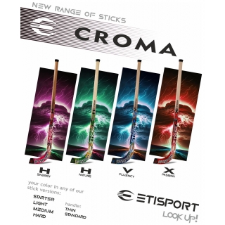 Stick de Hóquei em Patins...